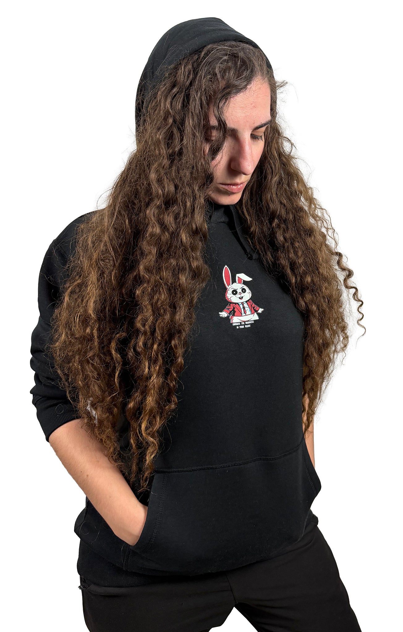 Embrace The Madness Hoodie - 280 GSM